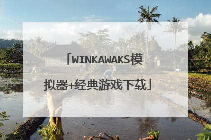 WINKAWAKS模拟器+经典游戏下载