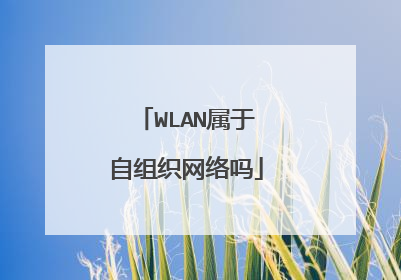 WLAN属于自组织网络吗