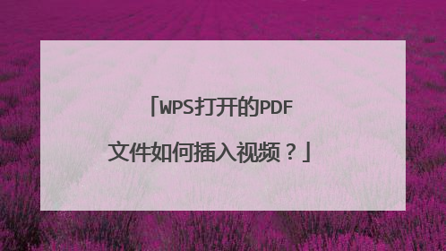 WPS打开的PDF文件如何插入视频？
