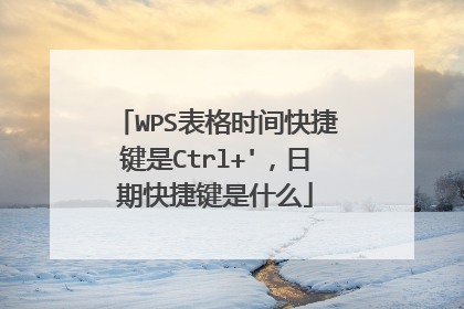 WPS表格时间快捷键是Ctrl+'，日期快捷键是什么