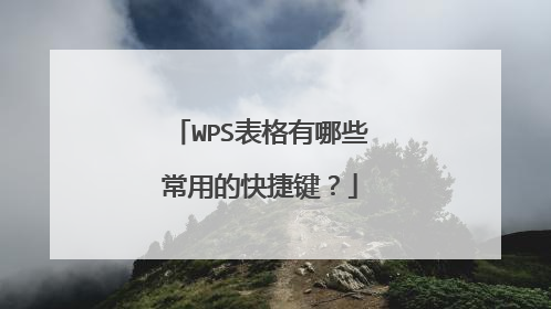 WPS表格有哪些常用的快捷键?