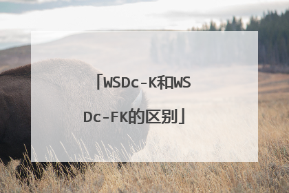 WSDc-K和WSDc-FK的区别
