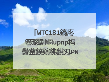 WTC181鎬庝箞璁剧疆upnp杩欎釜鍨嬪彿鐨刄PNP鍦ㄥ摢璁剧疆