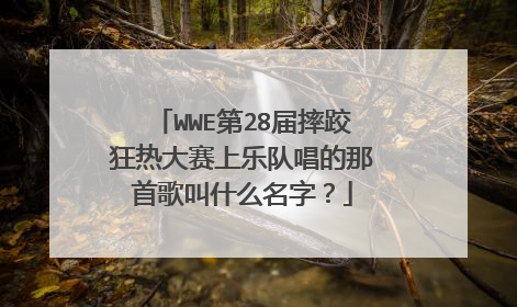 WWE第28届摔跤狂热大赛上乐队唱的那首歌叫什么名字？
