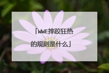 WWE摔跤狂热的规则是什么