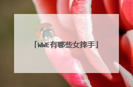 WWE有哪些女摔手