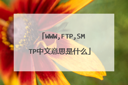 WWW,FTP,SMTP中文意思是什么
