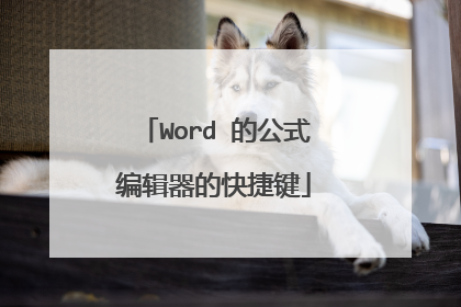 Word 的公式编辑器的快捷键