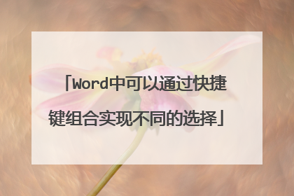 Word中可以通过快捷键组合实现不同的选择
