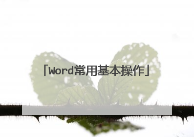 Word常用基本操作