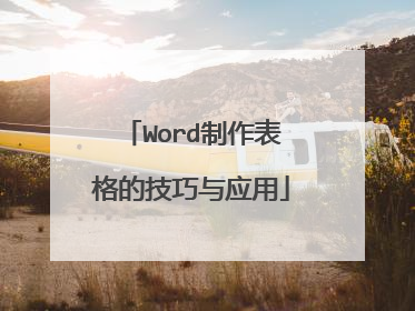 Word制作表格的技巧与应用