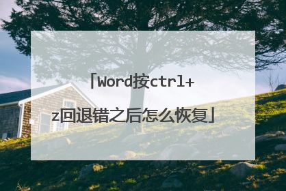 Word按ctrl+z回退错之后怎么恢复