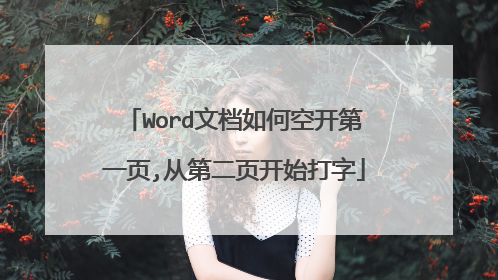 Word文档如何空开第一页,从第二页开始打字
