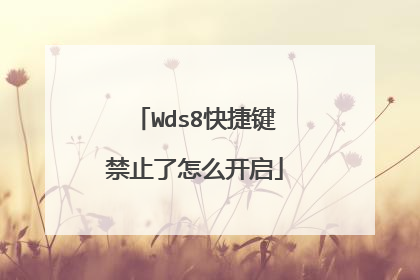 Wds8快捷键禁止了怎么开启