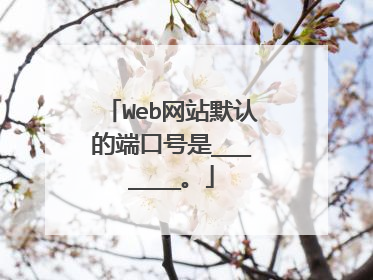 Web网站默认的端口号是_______。