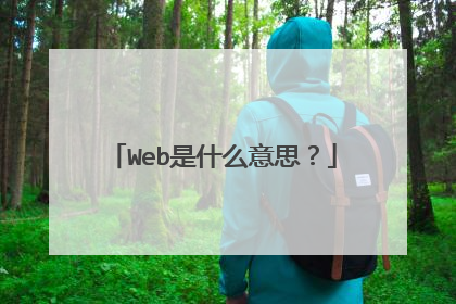 Web是什么意思?
