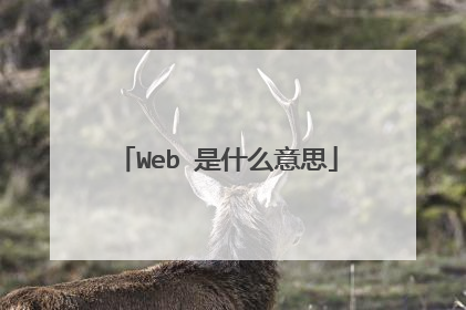 Web 是什么意思