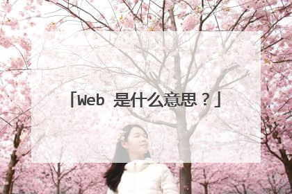 Web 是什么意思？