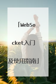 WebSocket入门及使用指南