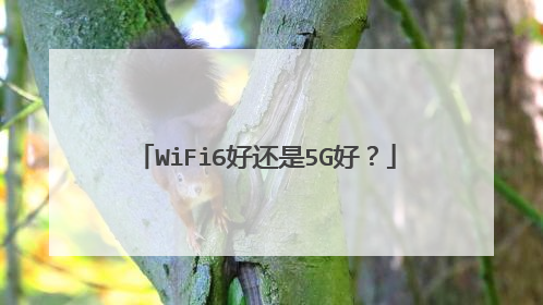 WiFi6好还是5G好？