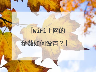WiFi上网的参数如何设置?