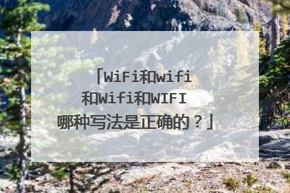 WiFi和wifi和Wifi和WIFI哪种写法是正确的？