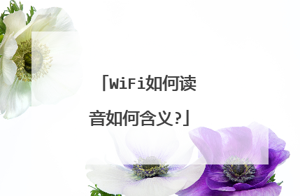 WiFi如何读音如何含义?