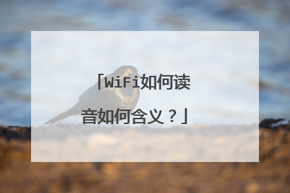 WiFi如何读音如何含义?