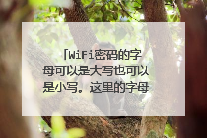 WiFi密码的字母可以是大写也可以是小写。这里的字母可以指拼音字母也可以指英文字母吗