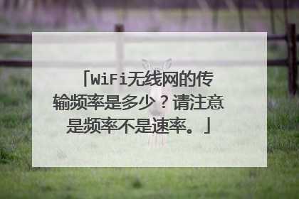 WiFi无线网的传输频率是多少？请注意是频率不是速率。