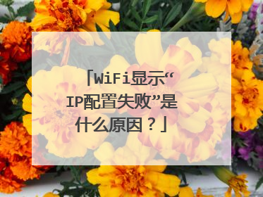 WiFi显示“IP配置失败”是什么原因？