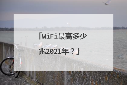 WiFi最高多少兆2021年?