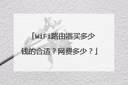 WiFi路由器买多少钱的合适?网费多少?