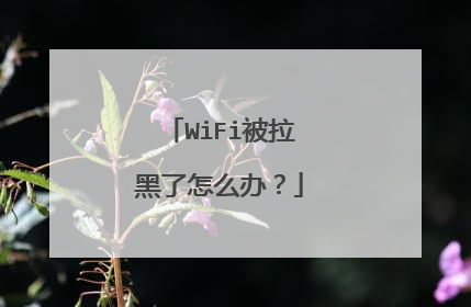 WiFi被拉黑了怎么办?
