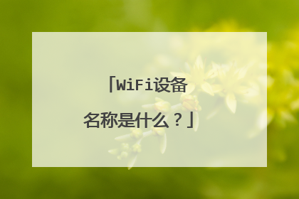 WiFi设备名称是什么？