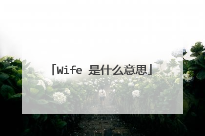 Wife 是什么意思