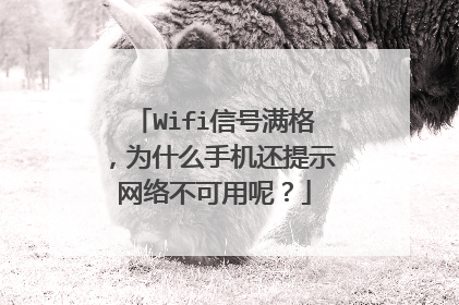 Wifi信号满格,为什么手机还提示网络不可用呢?