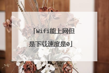 Wifi能上网但是下载速度是0