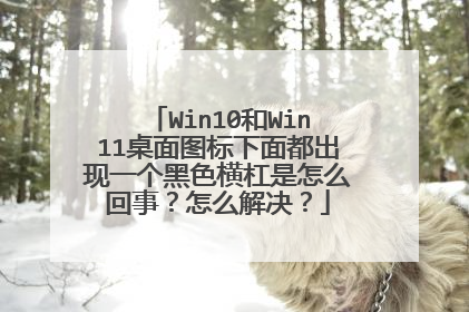 Win10和Win11桌面图标下面都出现一个黑色横杠是怎么回事？怎么解决？