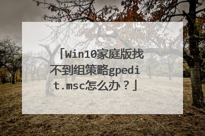 Win10家庭版找不到组策略gpedit.msc怎么办?