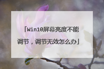 Win10屏幕亮度不能调节，调节无效怎么办