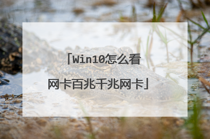 Win10怎么看网卡百兆千兆网卡