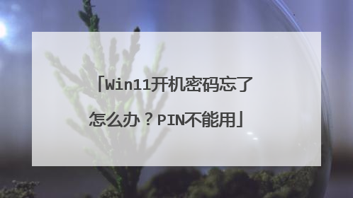 Win11开机密码忘了怎么办？PIN不能用