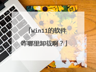 Win11的软件咋哪里卸载啊？