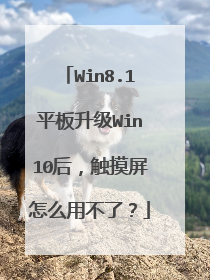 Win8.1平板升级Win10后,触摸屏怎么用不了?
