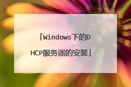 Windows下的DHCP服务器的安装