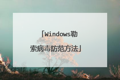 Windows勒索病毒防范方法