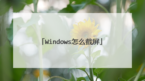 Windows怎么截屏