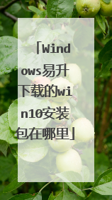 Windows易升下载的win10安装包在哪里