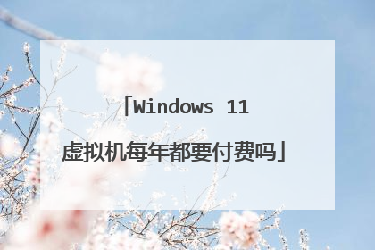 Windows 11虚拟机每年都要付费吗